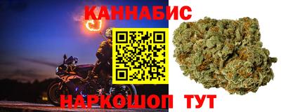 прущие грибы Ликино-Дулёво